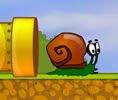 Caracol Bob