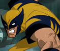 Wolverine Mrd Escape